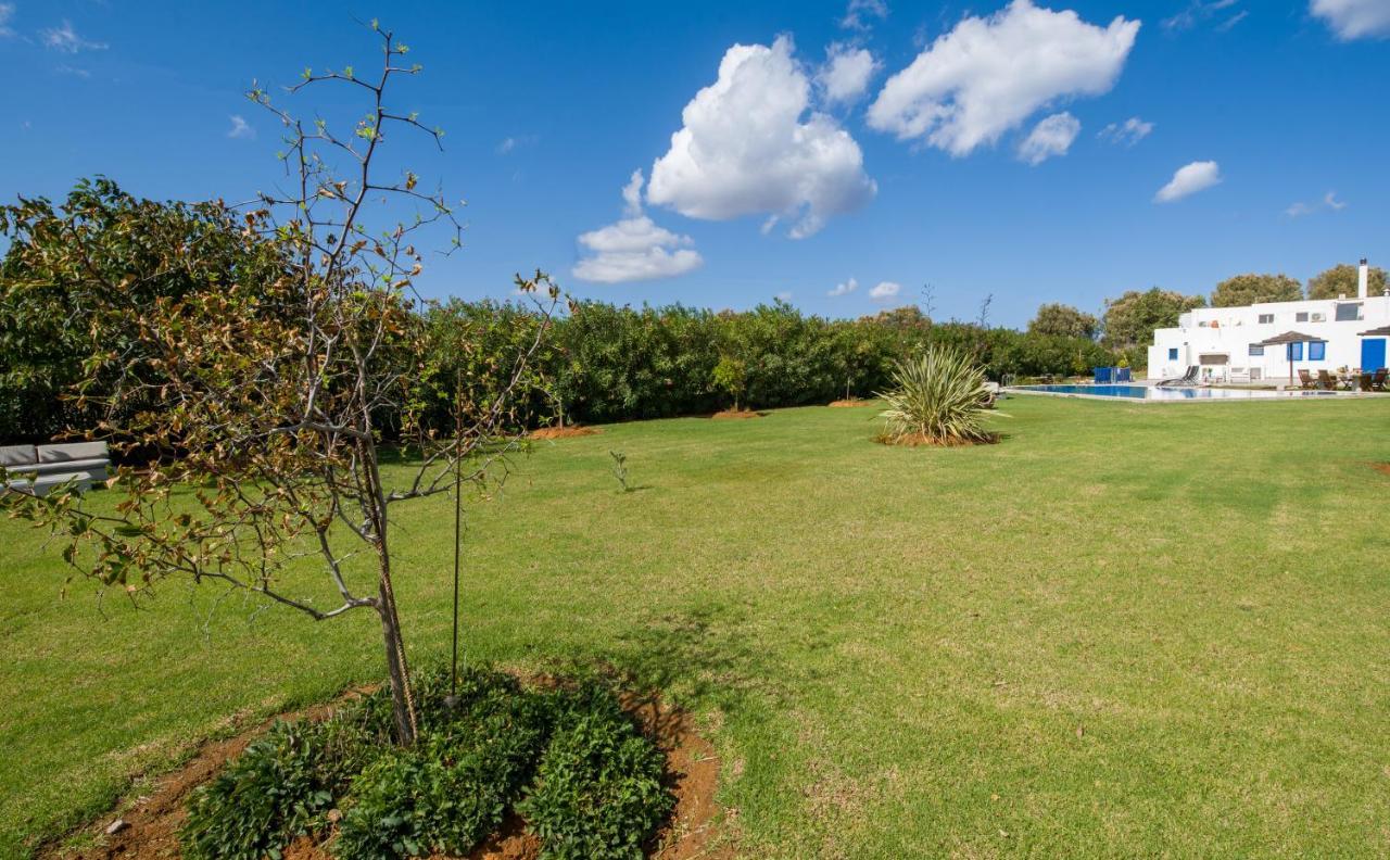 Oasea Villa Tavronitis  Exterior photo