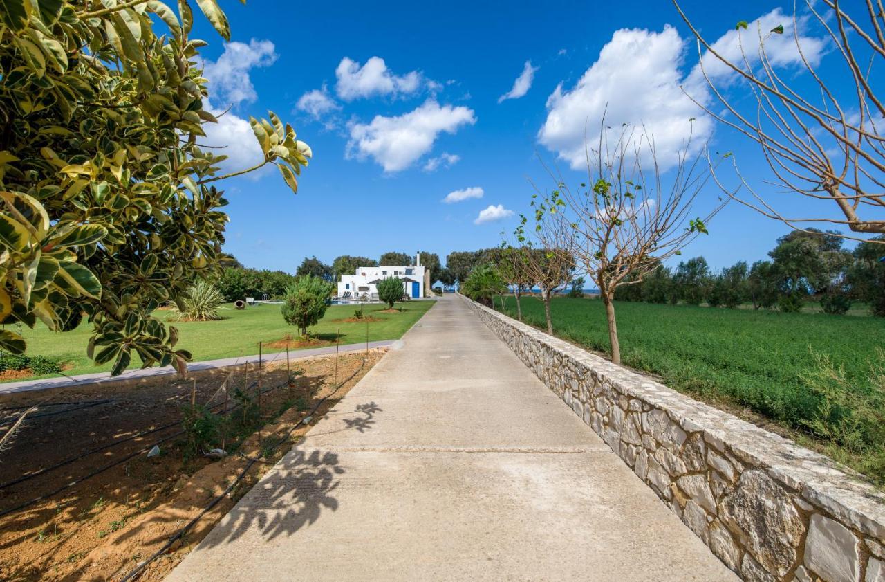 Oasea Villa Tavronitis  Exterior photo